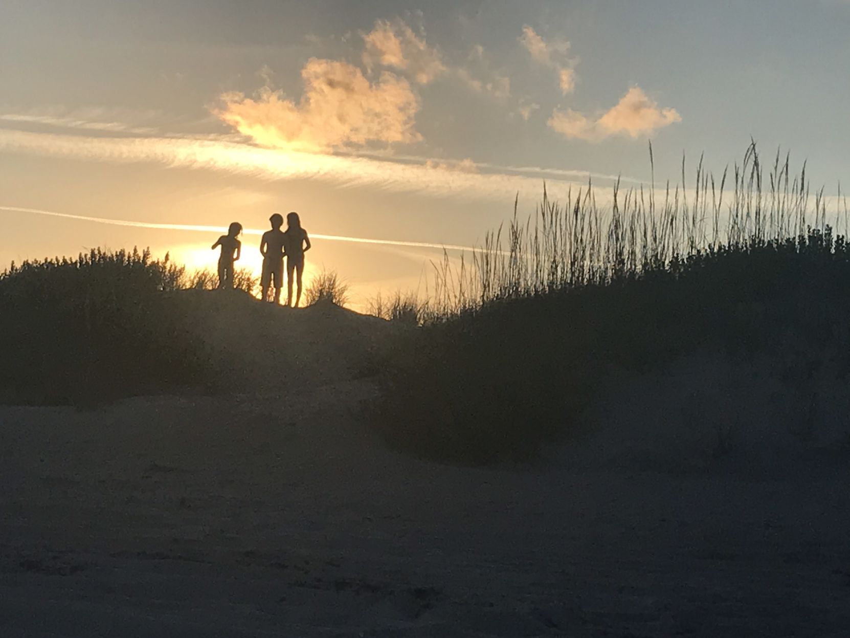 Coastal dunes with pod